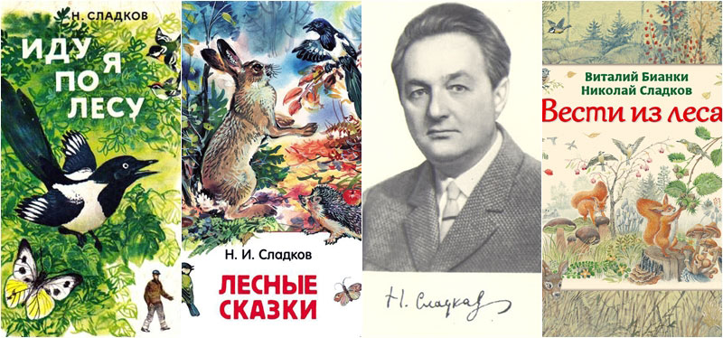 Николай Сладков. Вот иду я по лесу
