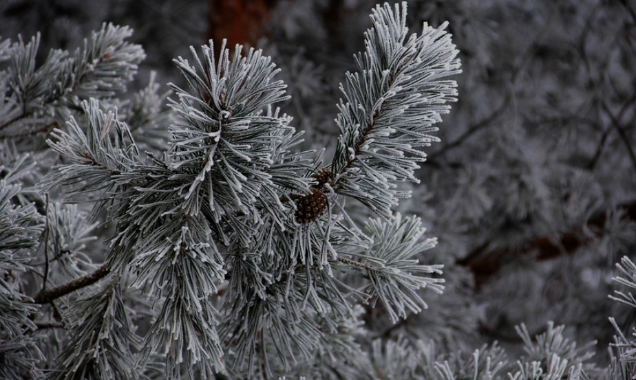 <span class='center'>
<span class='slide_title'>
<strong>Природы затаённое дыханье...</strong>
</span>